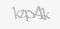 Защитный код