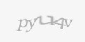 Защитный код